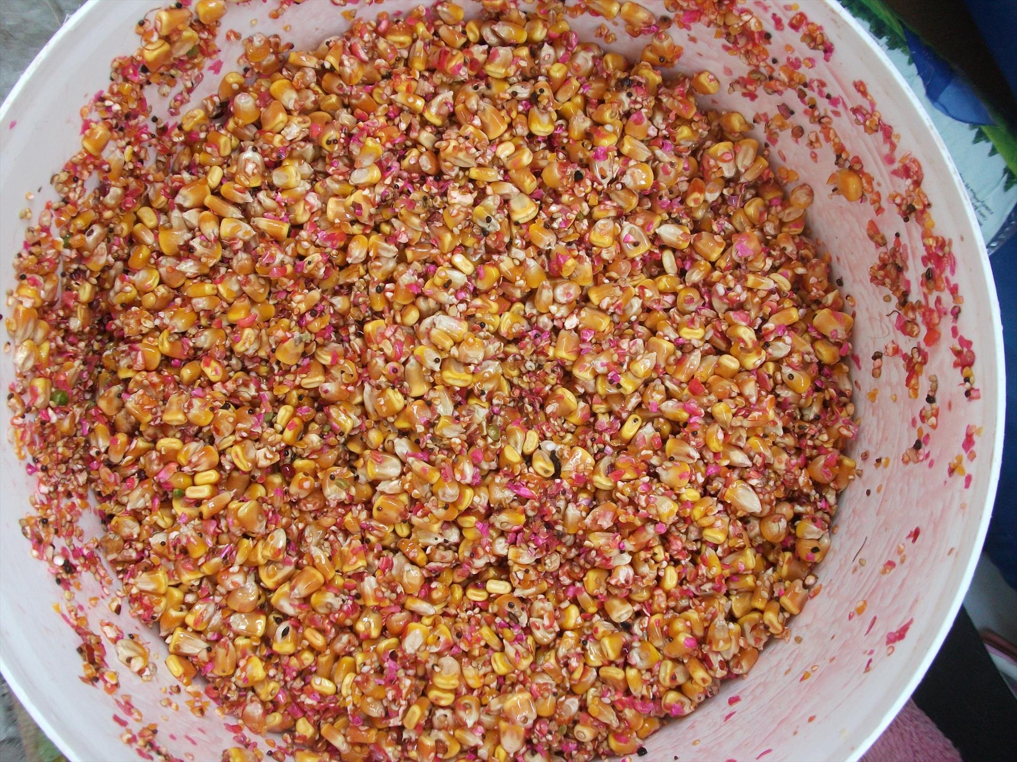 multe poze... - dscf5209.jpg